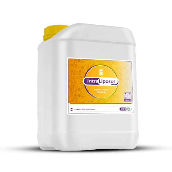 Intra Calferol feed 20ltr kanne