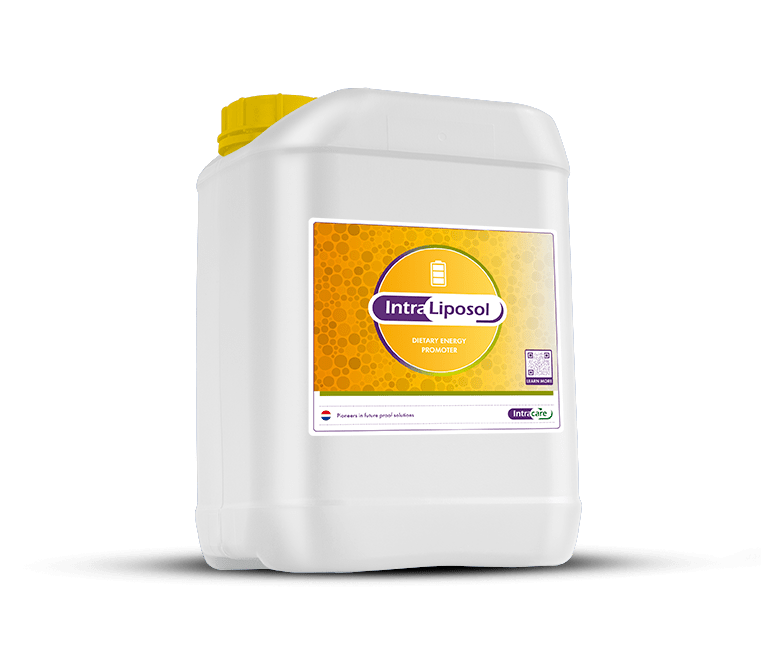 Intra Calferol feed 20ltr kanne