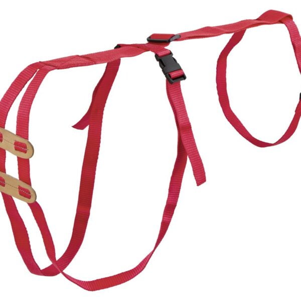 Fremfallsele. for sau