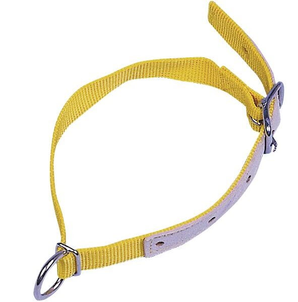 Halsband. for sau. nylon. 60 cm lang Gul