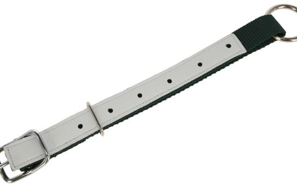 Halsband. for sau. nylon. 60 cm lang Grønn