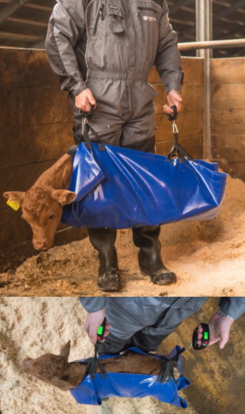 Kalveseil kompl. m2/dig. vekter