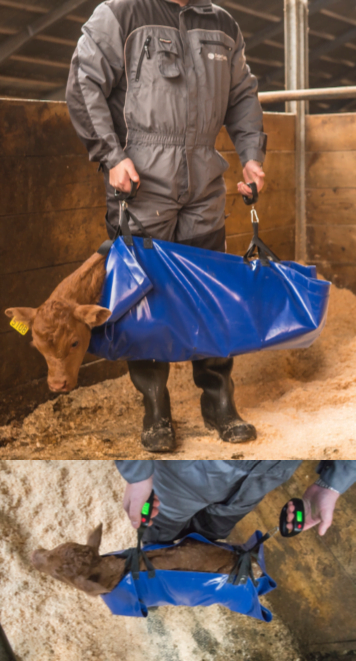 Kalveseil kompl. m2/dig. vekter