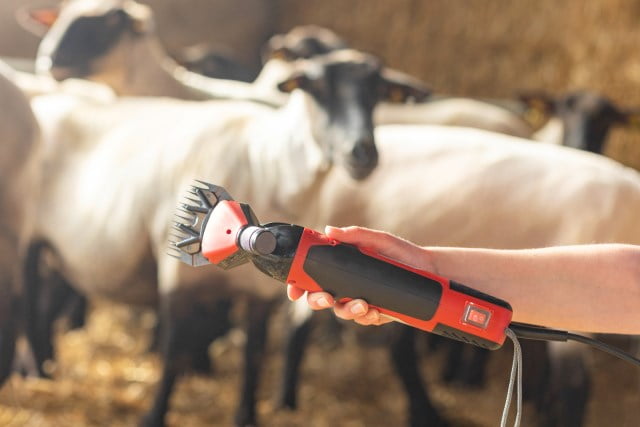 Farm Proff. klippemaskin for sau. 350W 6-speed - Bilde 3