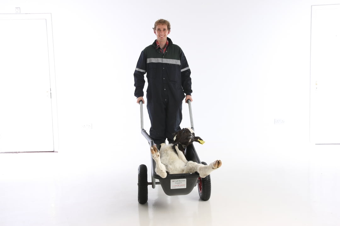 Calf Barrow kalvetralle 620H x 670B x 1600L - Bilde 4