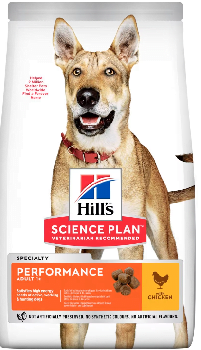 Hills SP Canine Adult Performance12kg