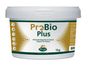 Pro-Bio Plus 1kg til hest