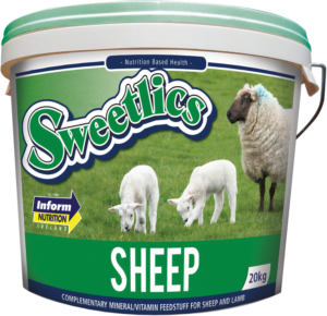 Sweetlics sau 20kg GRØNN bøtte