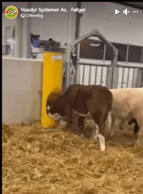 Veno Foringsautomat med styrt nedmating 60 L - Bilde 2