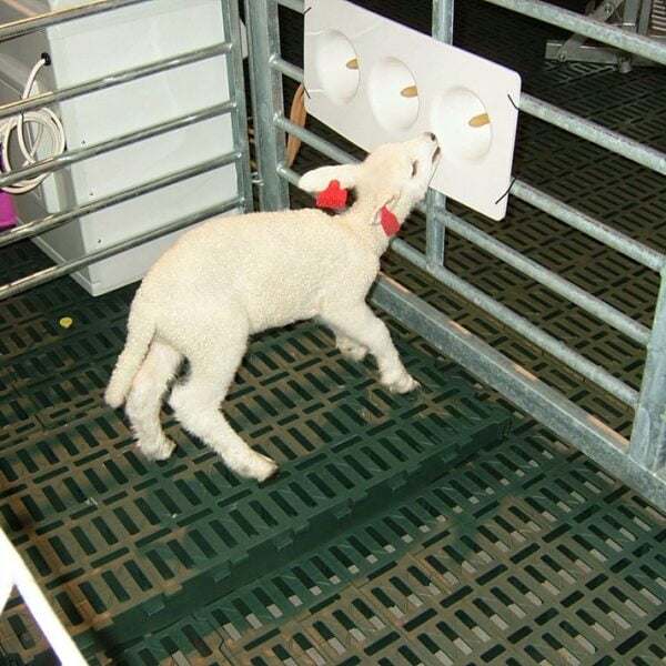 LacTek ekstra spenebrett for 3 smokker