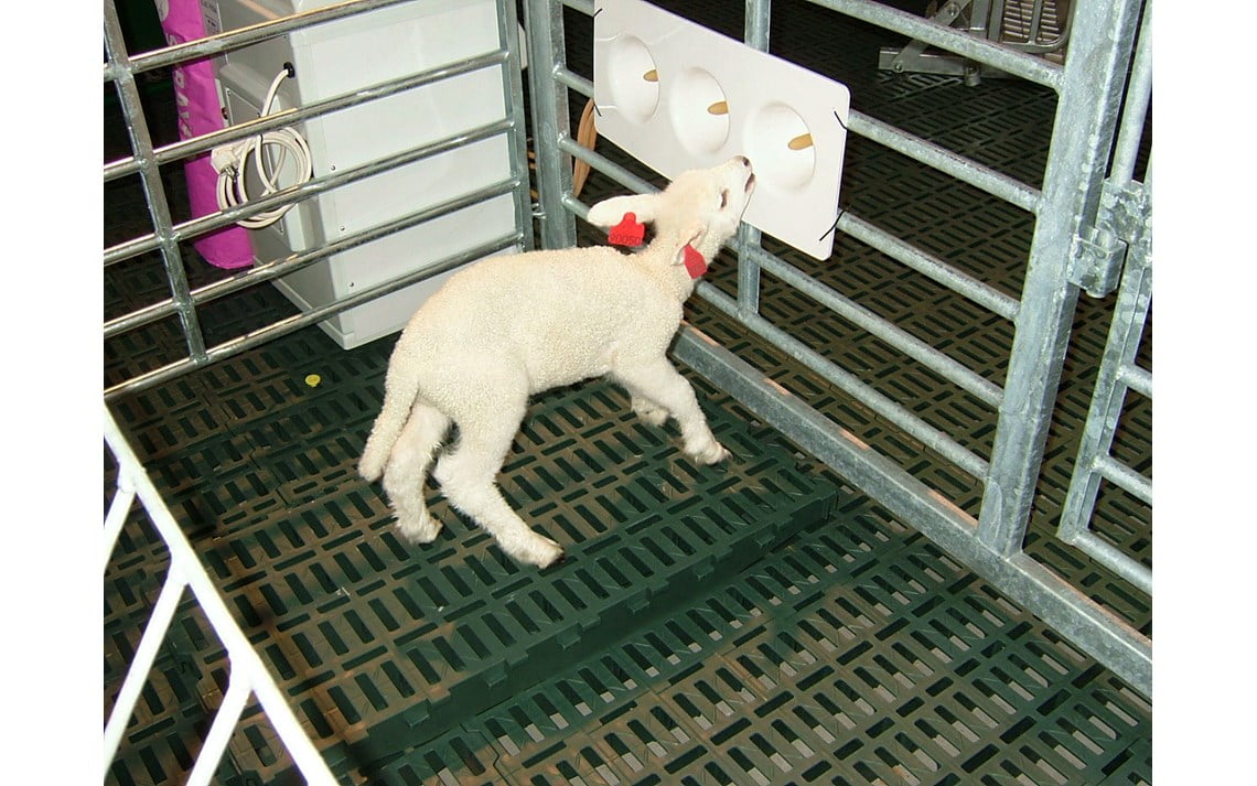 LACTEK MASKIN m/ 1 smokkbrett - Bilde 2