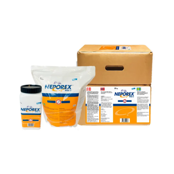 Neporex 2 WSG