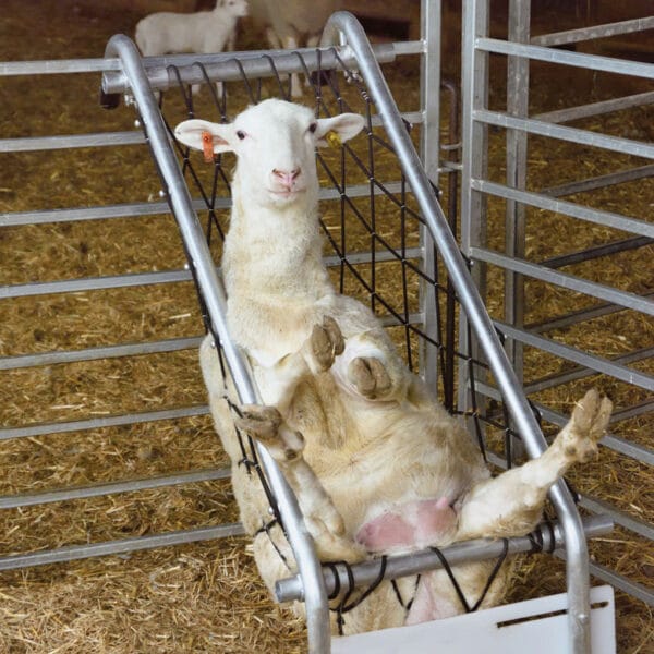 Behandlingsstol, Deck Chair