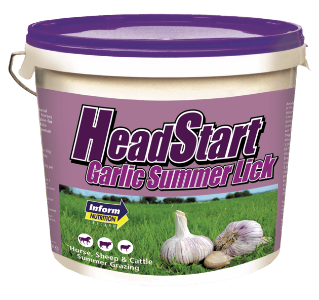 HeadStart Garlic Summer Lick 18kg